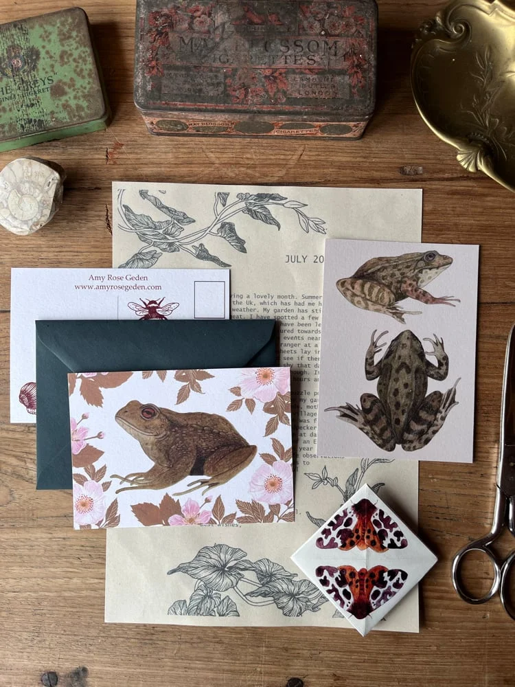 July frog and toad postcards with a letter, envelope and moth sticker