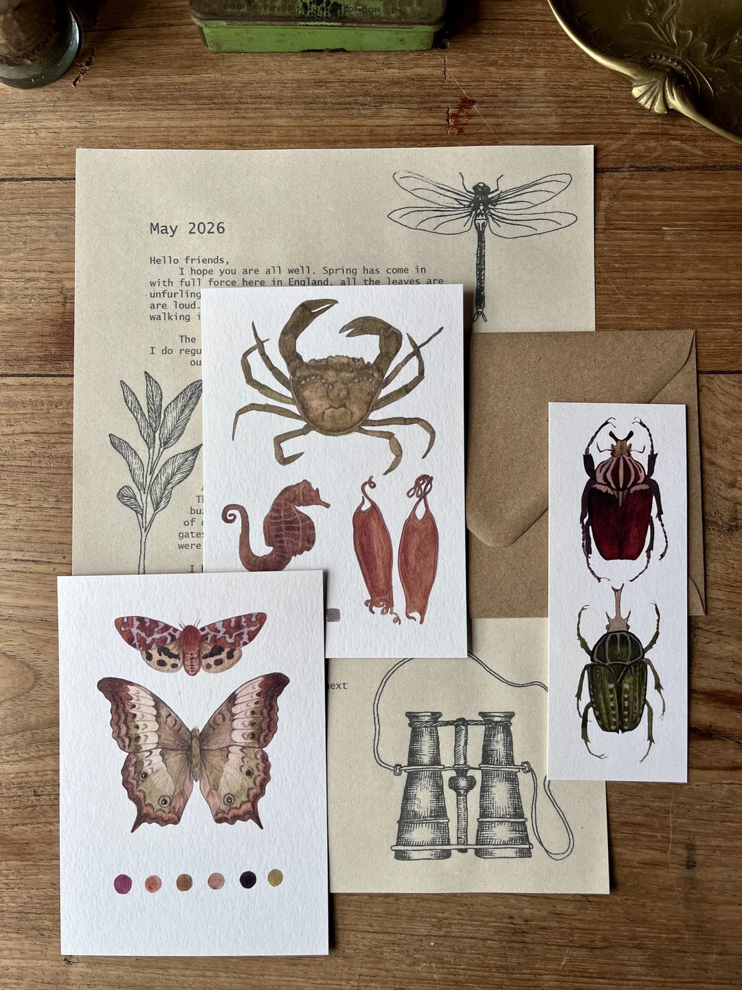 May mail with sea-creature and moth postcards, a beetle bookmark, illustrated letter and brown envelope
