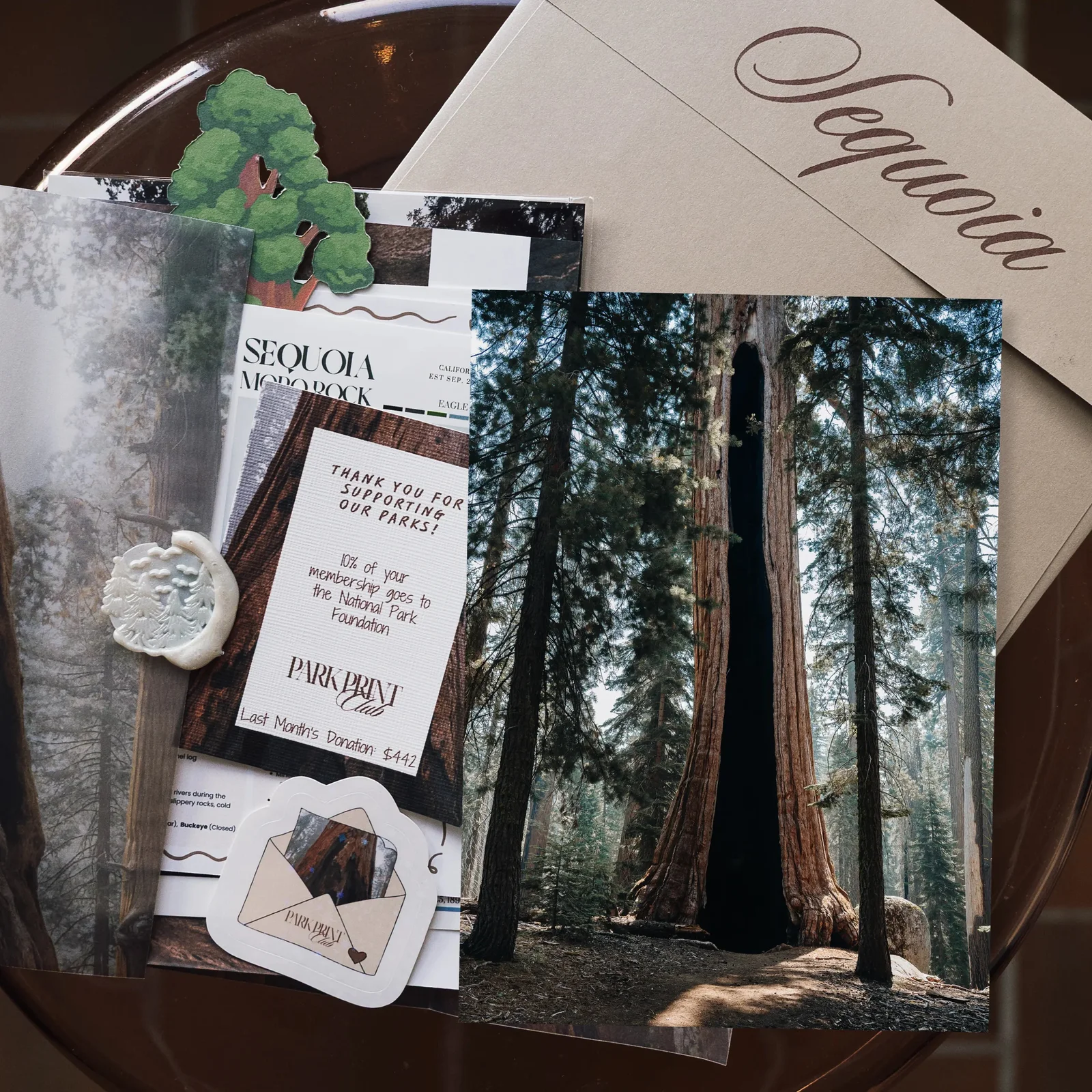 Park Print Club: Sequoia photograph with a letter, illustrated paper pieces and an envelope.
