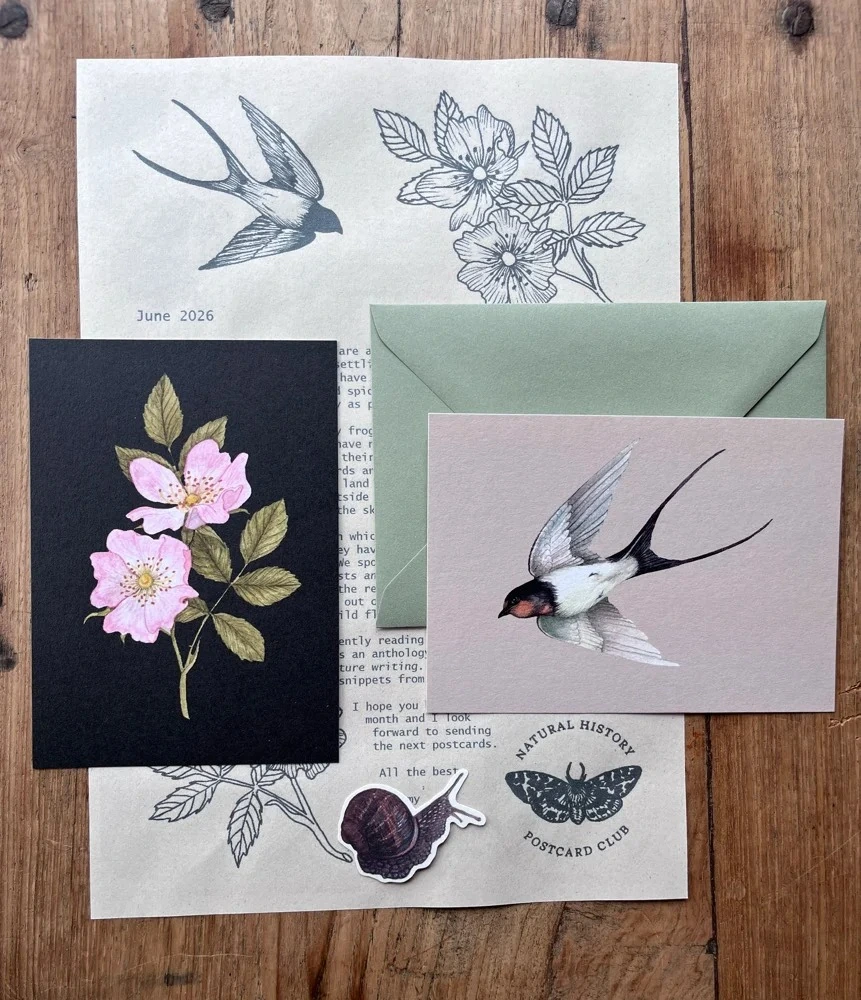 Natural History Postcard Club