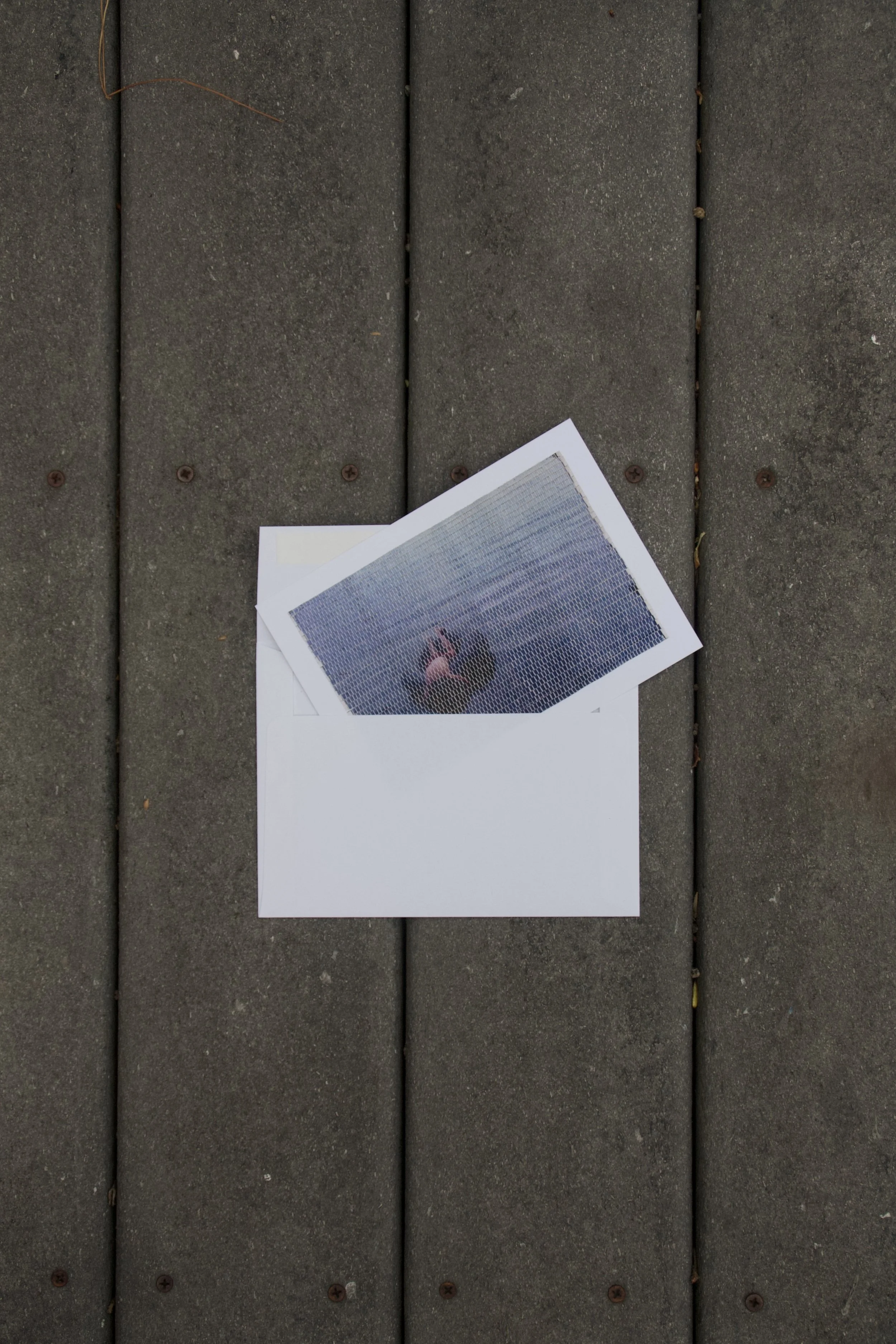 A Mailed Memories swimming print tucked into its mailing envelope