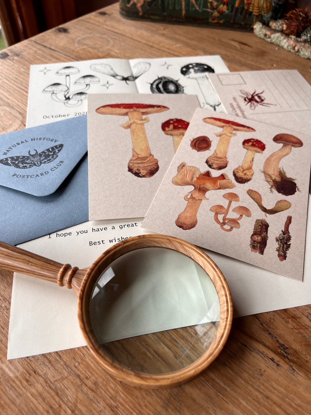 October mushroom postcards with an illustrated letter and blue envelope, styled with a magnifying glass