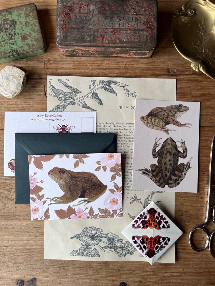 July frog and toad postcards with a letter, envelope and moth sticker
