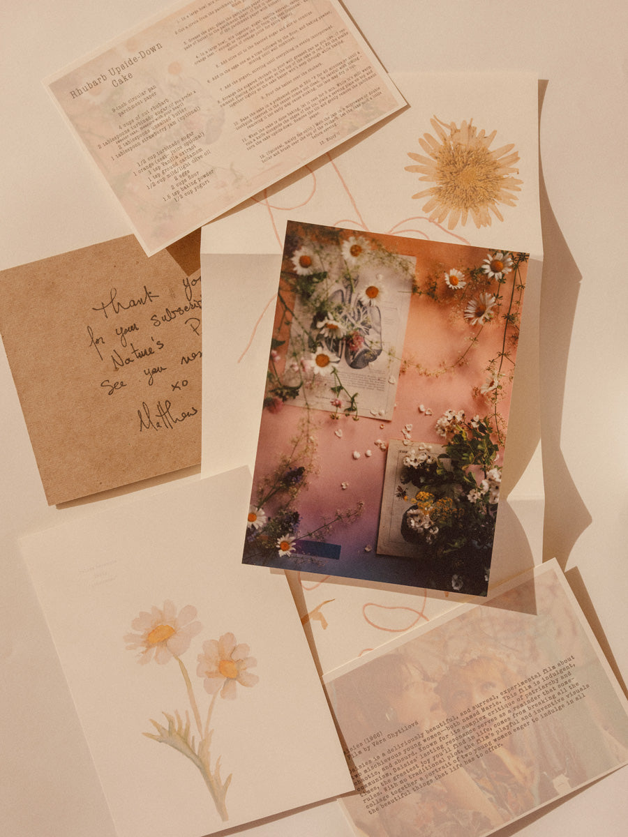 Nature’s Pencil — May 2026 daisy photograph, painted postcard, letter, and recipe