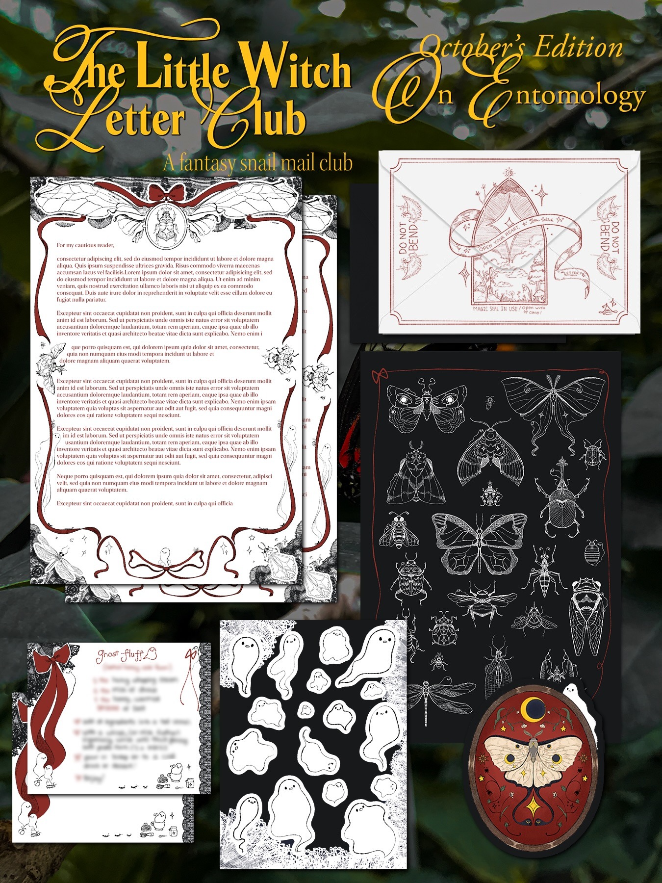The Little Witch Letter Club — October On Entomology official edition preview