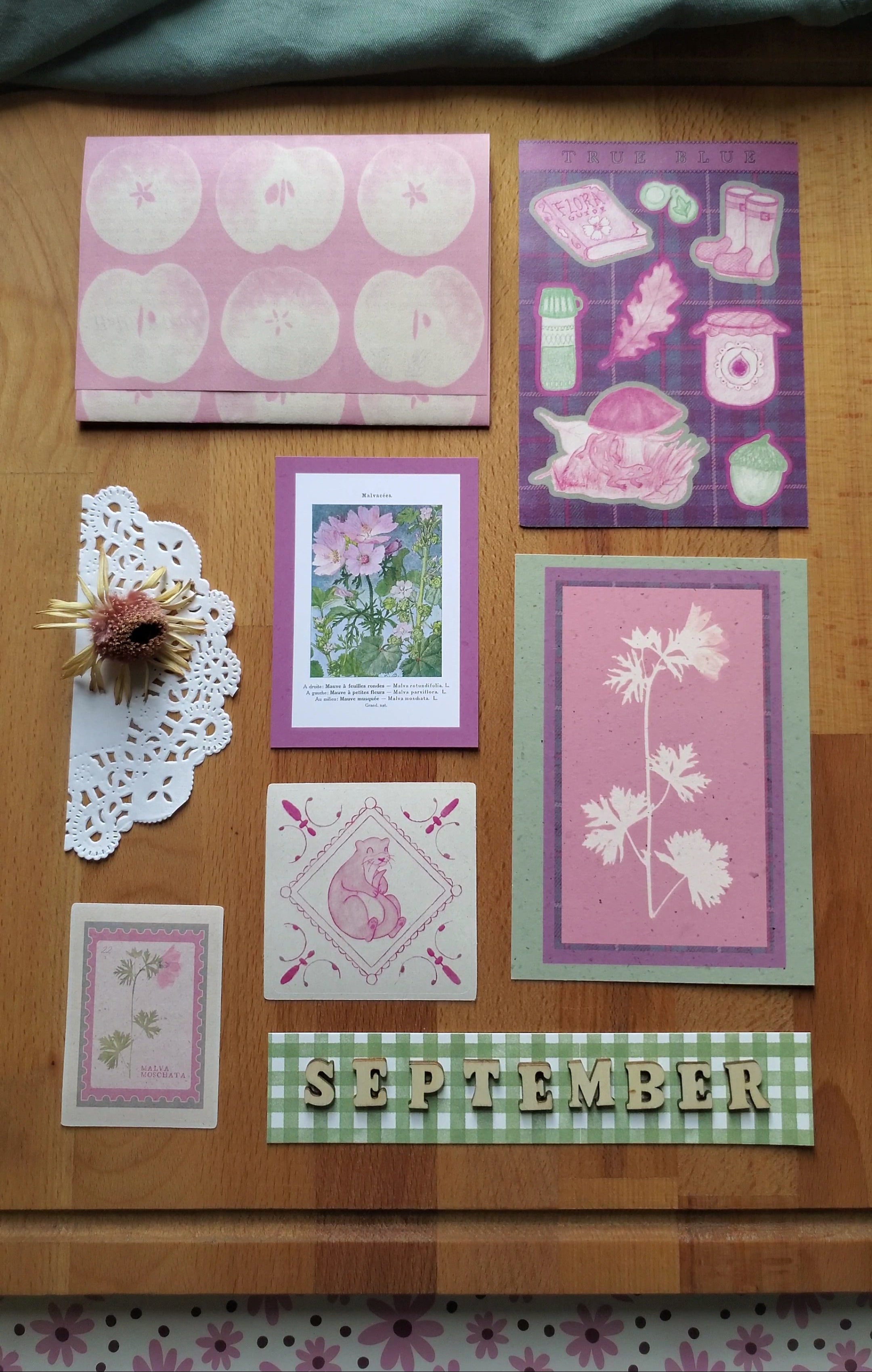 True Blue Print Club — September 2026 Musk Mallow full collection