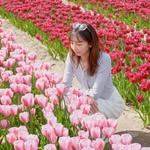 Millie, creator of ROOTS Watercolour, among pink tulips