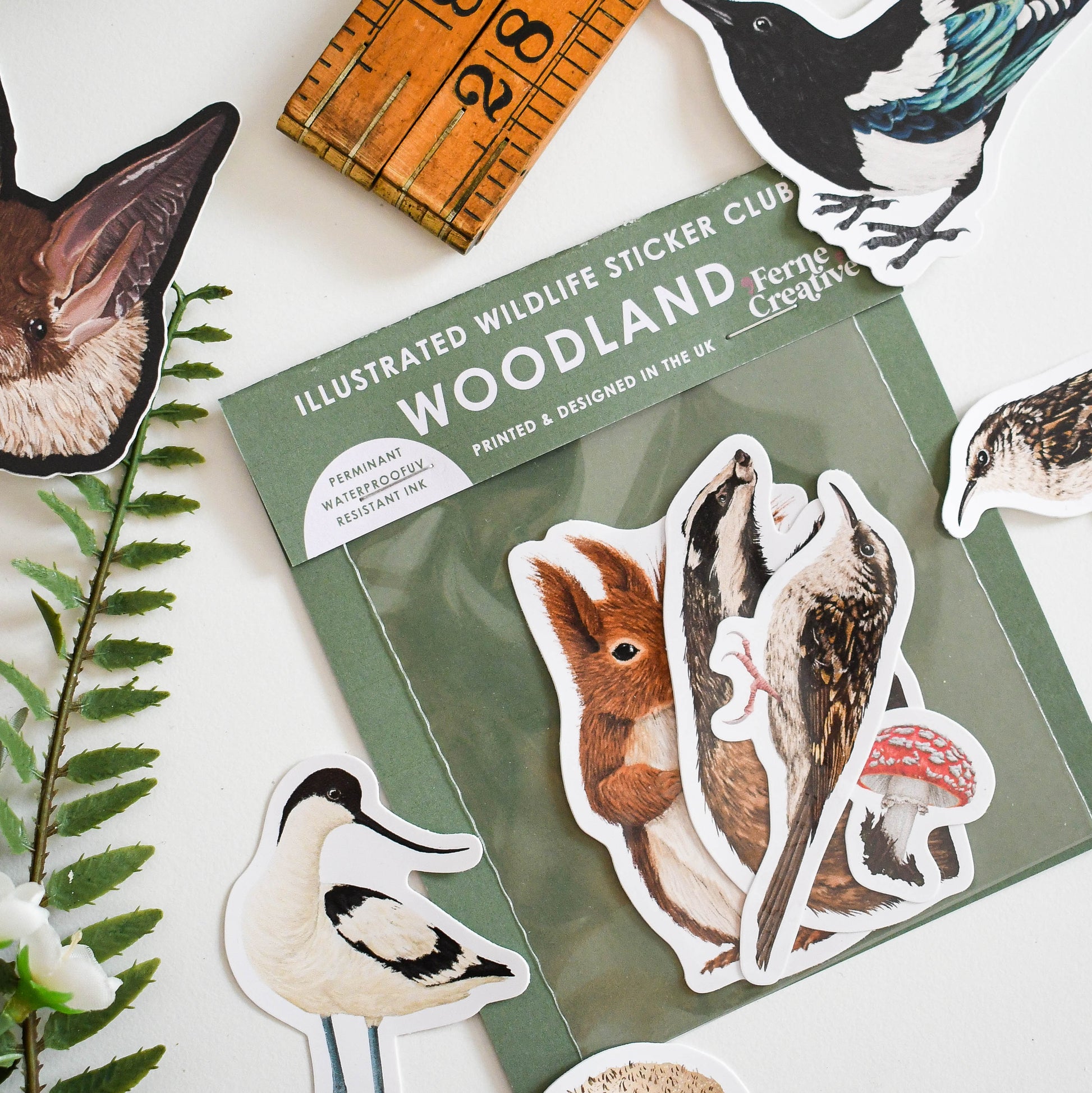 Wildlife Sticker Club — mail club edition artwork and paper goods