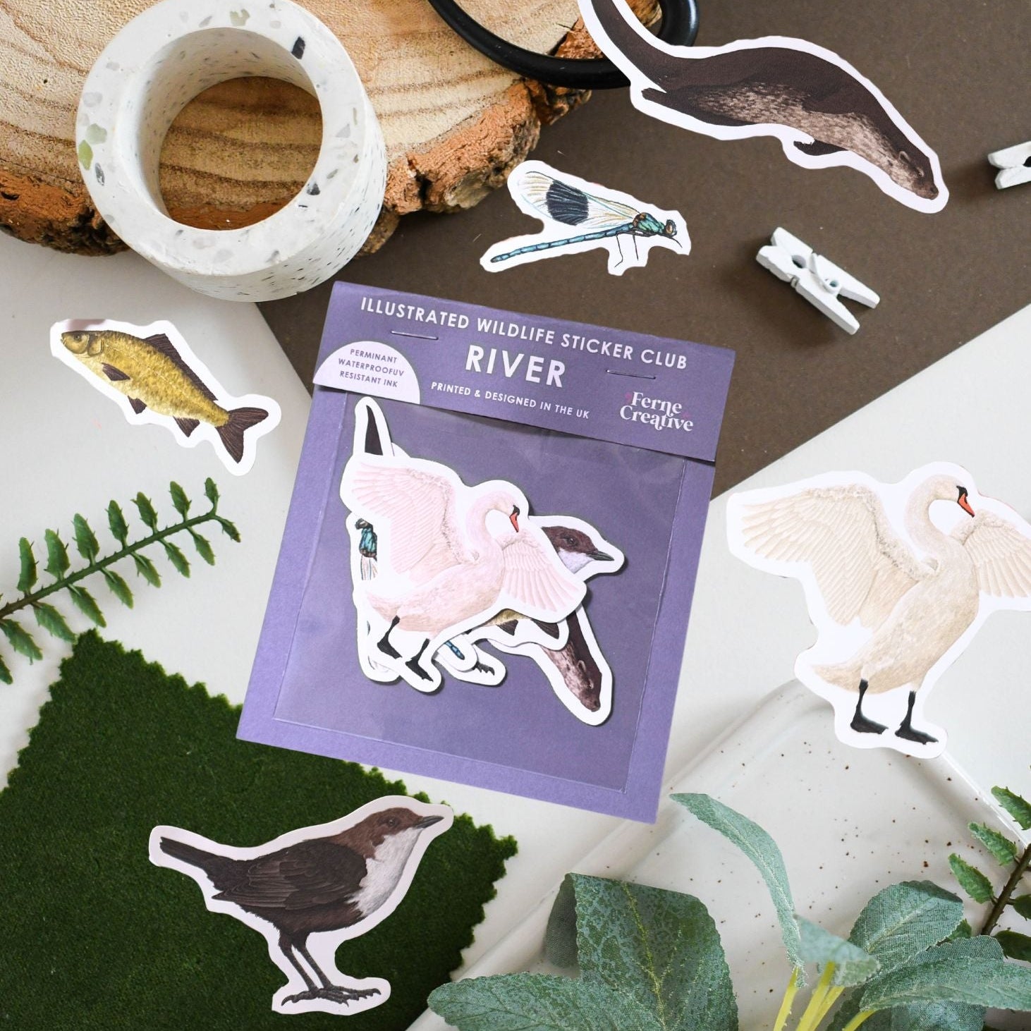 Wildlife Sticker Club — mail club edition artwork and paper goods
