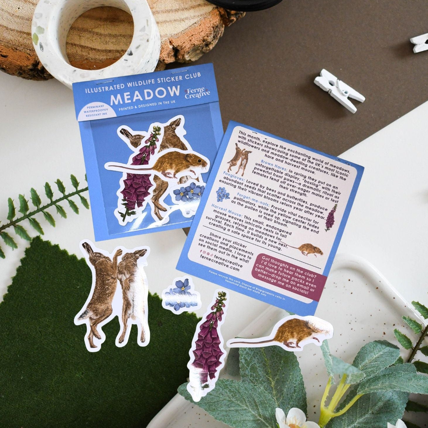 Wildlife Sticker Club — Meadow edition — wildlife stickers and species information card