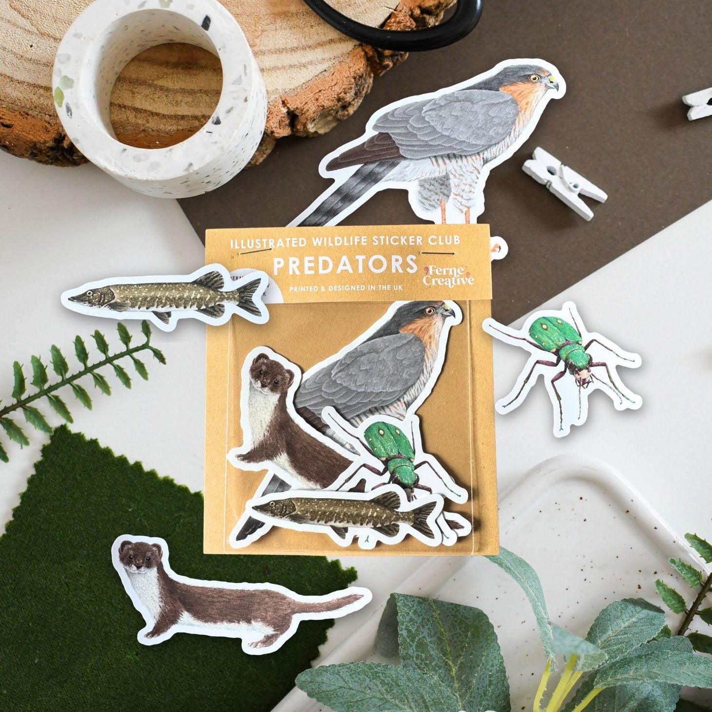 Wildlife Sticker Club — Predators edition — sparrowhawk, weasel, pike and tiger beetle stickers