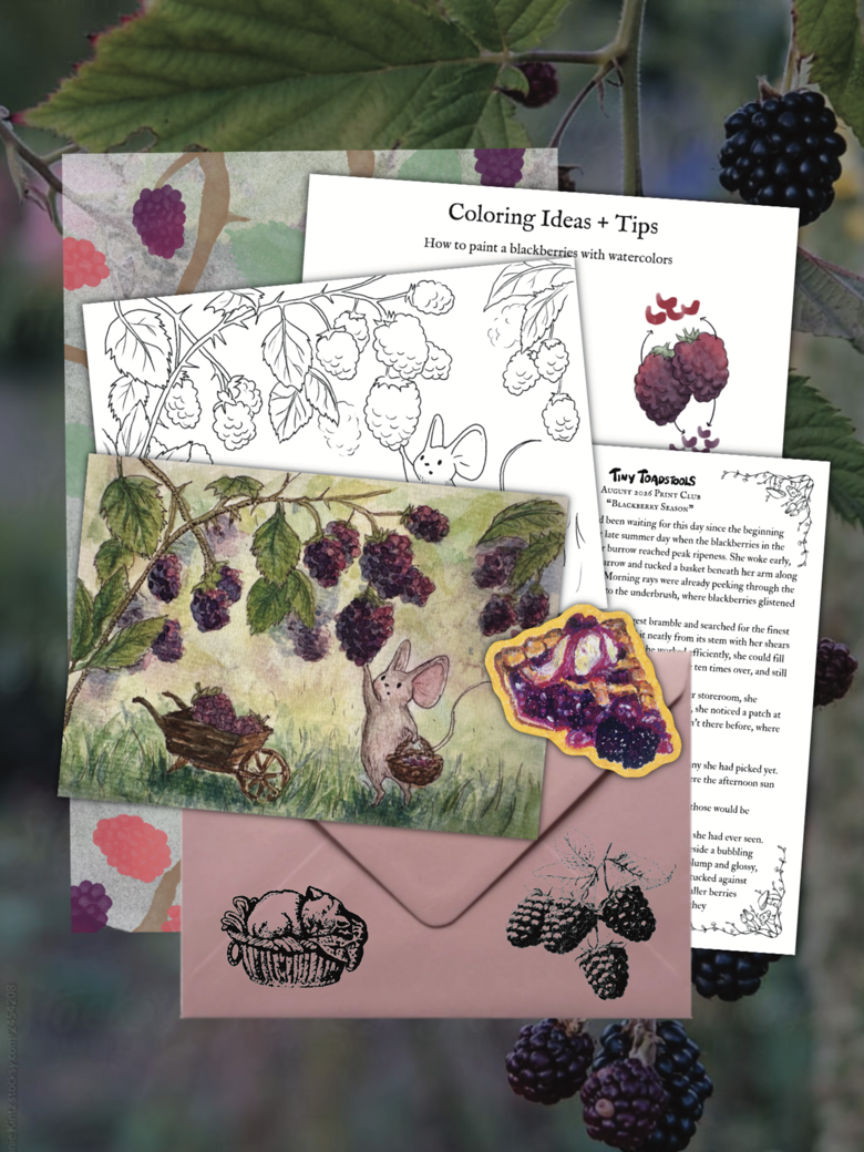 Tiny Toadstools — August 2026 official mail preview, including the higher-tier coloring page