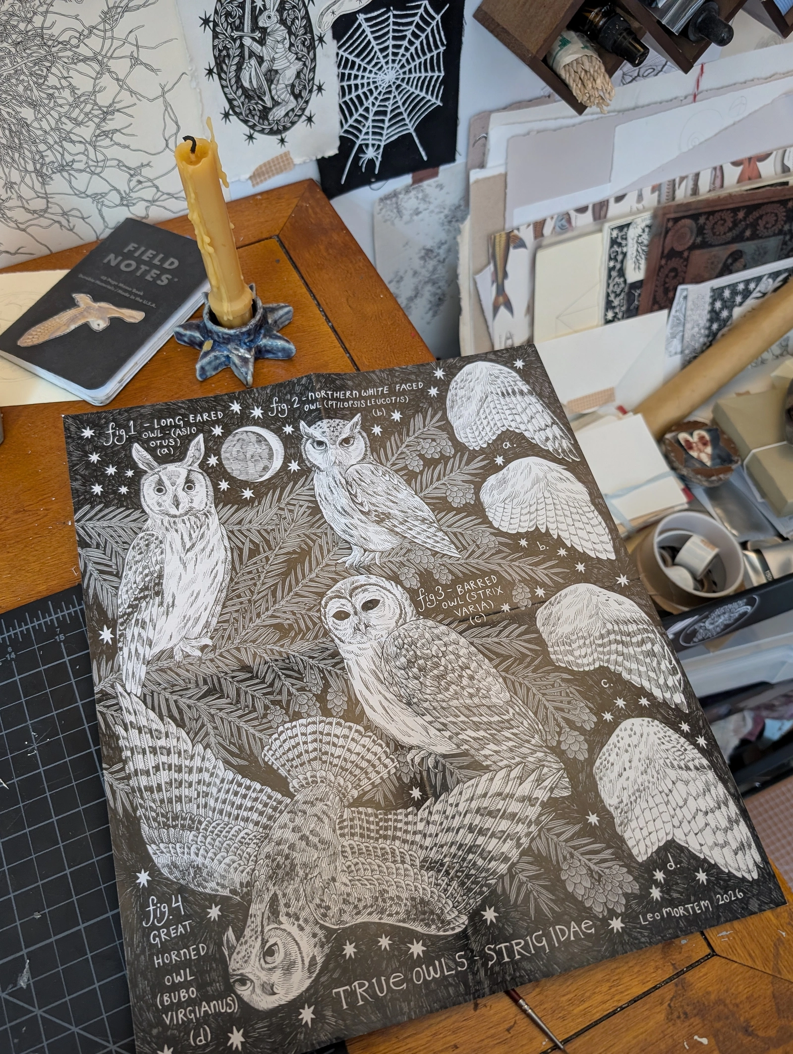 Peregrine Post — March 2026 owl poster shown in full
