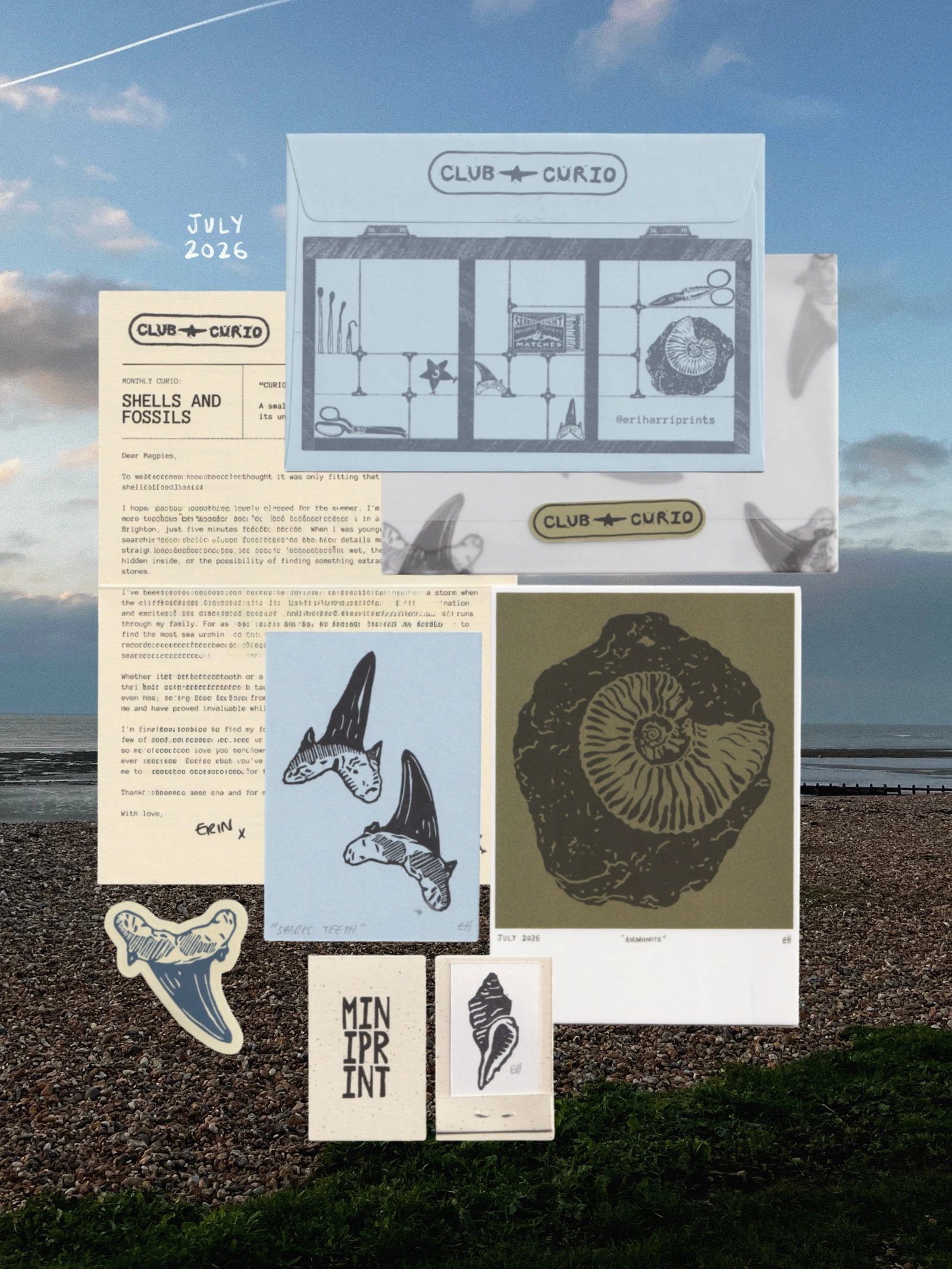 Club Curio — July 2026 Shells and Fossils complete mail collection
